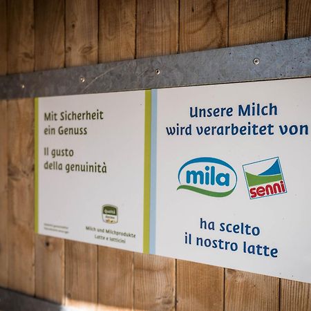 Apartament Luech De Martin La Val Zewnętrze zdjęcie